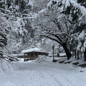 Καιρός: Τσουχτερό κρύο με βροχές στα πεδινά και χιόνια στα ορεινά - Σύγκρουση αερίων μαζών και ισχυρά φαινόμενα