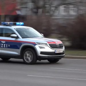 Γερμανία: Χαροπαλεύει 12χρονη κωφή έπειτα από πυρά αστυνομικών - Πληροφορίες ότι τους επιτέθηκε με μαχαίρι