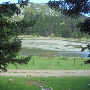 Διορίζονται 15 άτομα στον Ο.ΦΥ.ΠΕ.Κ.Α. Στερεάς Ελλάδας