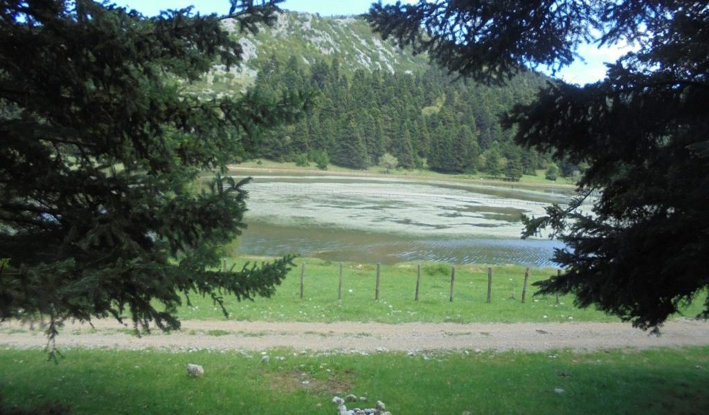 Διορίζονται 15 άτομα στον Ο.ΦΥ.ΠΕ.Κ.Α. Στερεάς Ελλάδας