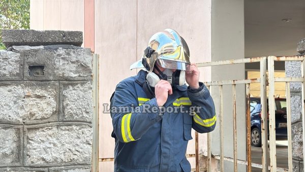 Το νέο Διοικητικό Συμβούλιο της Ένωση Υπαλλήλων Πυροσβεστικού Σώματος Στερεάς