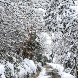 Καιρός: Τσουχτερό κρύο και χιόνια τις επόμενες ημέρες - Η Δευτέρα θα είναι η πιο κρύα μέρα με χιονοπτώσεις και σε χαμηλότερα υψόμετρα