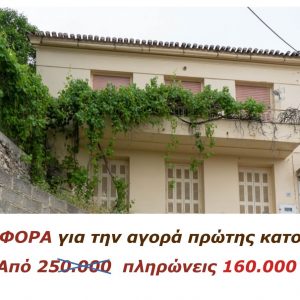 Λαμία: Πωλείται πολυτελής, πέτρινη, διώροφη μονοκατοικία ανάμεσα σε 3 κήπους