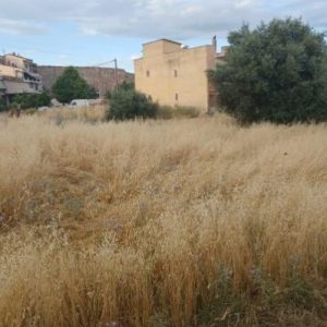 Λήγει τη Δευτέρα η προθεσμία για τον καθαρισμό οικοπέδων -Από την Τρίτη ξεκινούν οι έλεγχοι