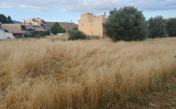 Λήγει τη Δευτέρα η προθεσμία για τον καθαρισμό οικοπέδων -Από την Τρίτη ξεκινούν οι έλεγχοι