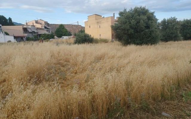 Λήγει τη Δευτέρα η προθεσμία για τον καθαρισμό οικοπέδων -Από την Τρίτη ξεκινούν οι έλεγχοι
