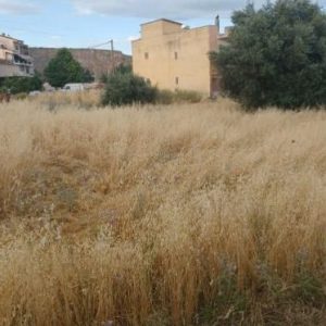 Λήγει τη Δευτέρα η προθεσμία για τον καθαρισμό οικοπέδων -Από την Τρίτη ξεκινούν οι έλεγχοι