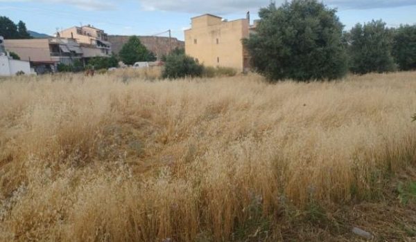Λήγει τη Δευτέρα η προθεσμία για τον καθαρισμό οικοπέδων -Από την Τρίτη ξεκινούν οι έλεγχοι