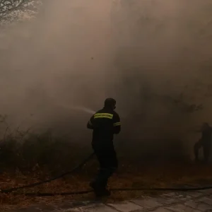 Φωτιά τώρα σε δασική έκταση στην περιοχή Λιβάδι Κεφαλονιάς