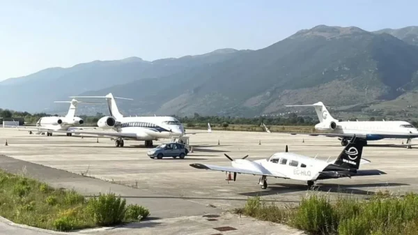 Ιωάννινα: Αναστάτωση στο αεροδρόμιο από κοπάδια αγριογούρουνων - Έκτακτα μέτρα από το υπουργείο Περιβάλλοντος