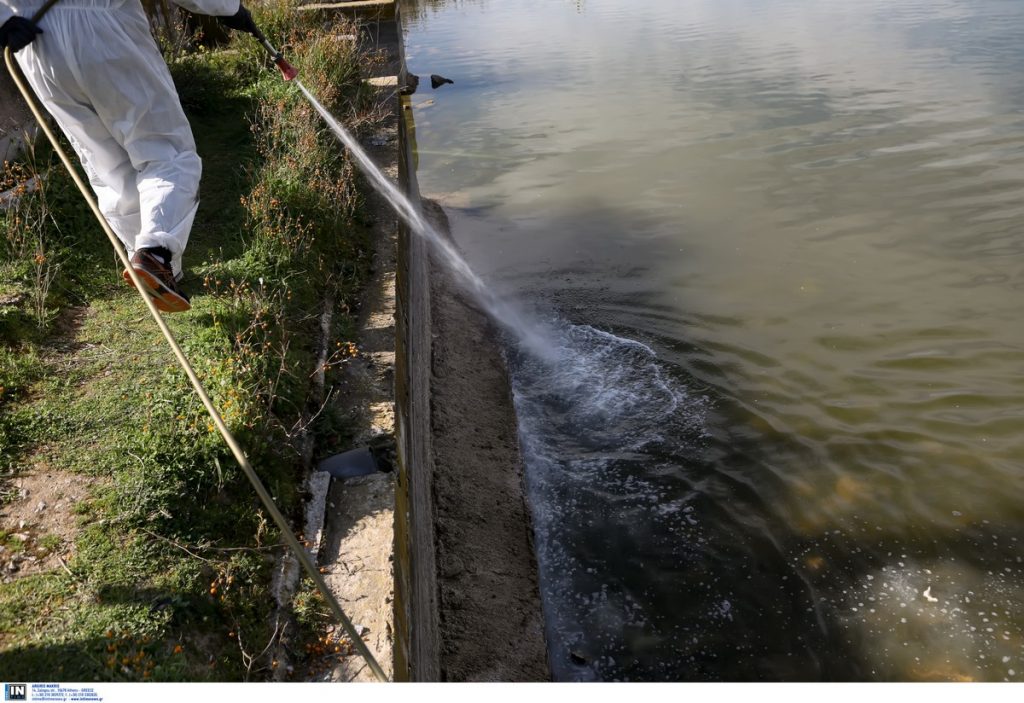 Φθιώτιδα: Το εβδομαδιαίο πρόγραμμα κουνοποκτονίας