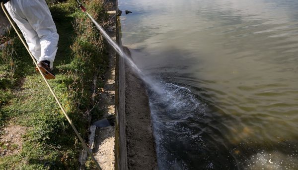 Το πρόγραμμα κουνοποκτονίας για τη νέα εβδομάδα