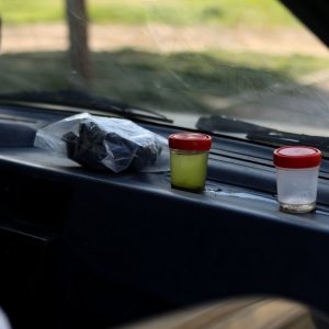 Μόνο σε τέσσερις δήμους της Φθιώτιδας δράσεις κουνοποκτονίας αυτή την εβδομάδα