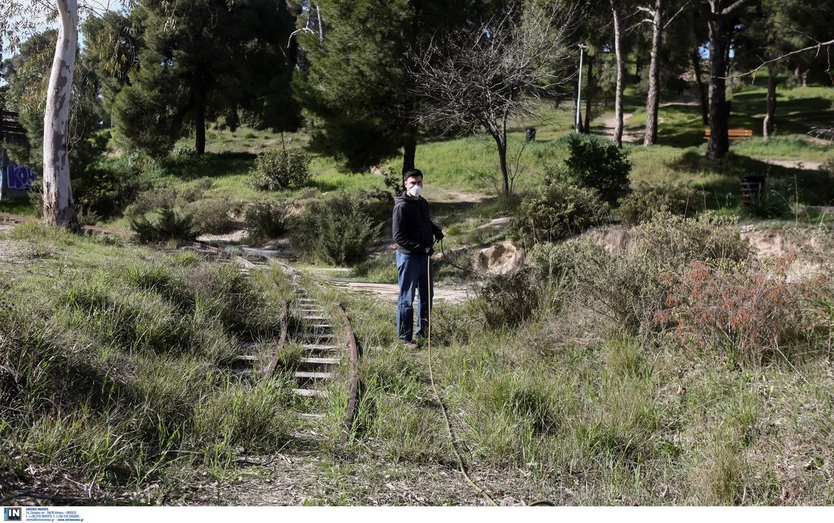 Φθιώτιδα: Το πρόγραμμα κουνοποκτονίας της εβδομάδας
