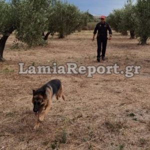 Σε εξέλιξη οι έρευνες για την γυναίκα που αγνοείται στον Άγιο Γεώργιο Καρδίτσας