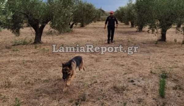 Σε εξέλιξη οι έρευνες για την γυναίκα που αγνοείται στον Άγιο Γεώργιο Καρδίτσας