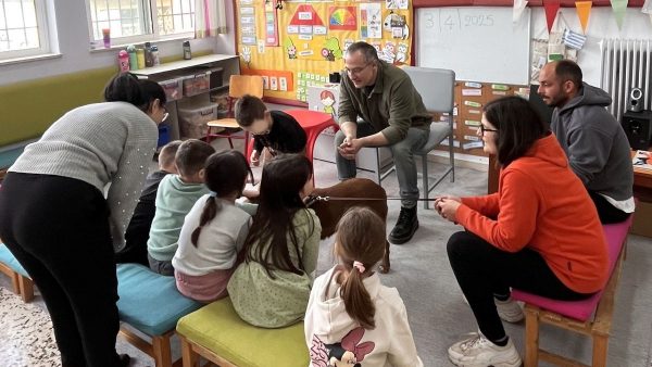 Δράση του δήμου Λαμιέων για την ημέρα ευαισθητοποίησης για τα αδέσποτα ζώα