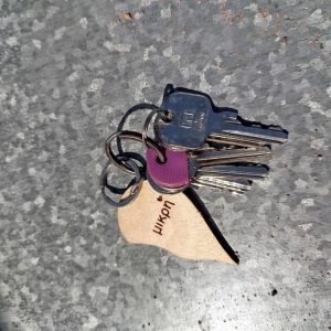 Βρέθηκαν τα κλειδιά της φωτογραφίας