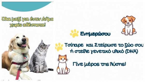 Στοιχεία για την διαχείριση των αδέσποτων ζώων συντροφιάς του Δήμου Λοκρών