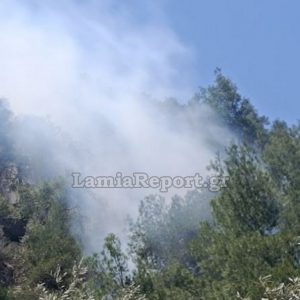 Σύλληψη και πρόστιμο για τον υπαίτιο της πυρκαγιάς στον Άγιο Κωνσταντίνο