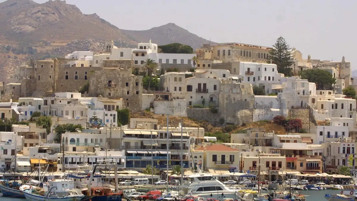 Νεκρός σε χαράδρα ένας 62χρονος στη Νάξο – Γλίστρησε και κατρακύλησε στον γκρεμό