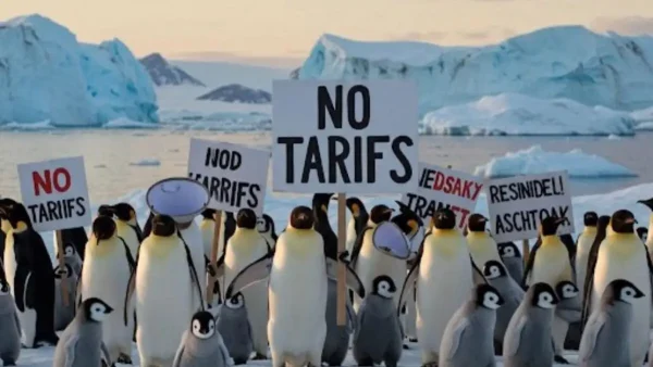 Δασμοί Τραμπ: Ξεσηκώθηκαν οι πιγκουίνοι στα νησιά Χερντ