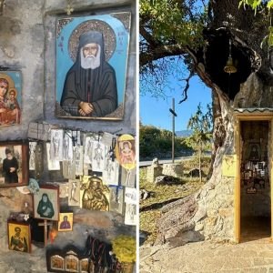 Μέσα στον κορμό μιας βελανιδιάς κρύβεται ένα όμορφο εκκλησάκι αφιερωμένο στον Άγιο Παΐσιο