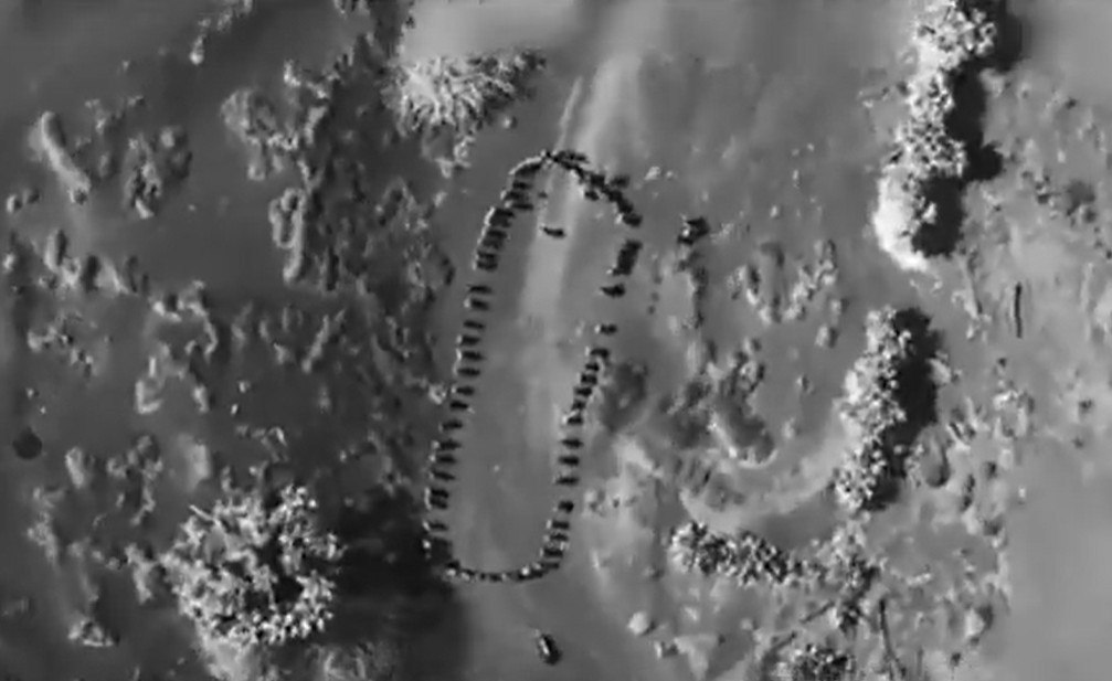 Ουπς!: Ο Τραμπ δημοσιοποιεί βίντεο-σοκ από την φονική επίθεση στην Υεμένη