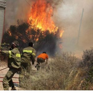 Πυρκαγιά στον Λογγό Φθιώτιδας - Μεγάλη κινητοποίηση της Πυροσβεστικής (ΒΙΝΤΕΟ-ΦΩΤΟ)