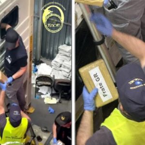 ΣΔΟΕ: Κοκαΐνη 56 κιλών εντοπίστηκε σε φορτίο με γαρίδες από το Εκουαδόρ