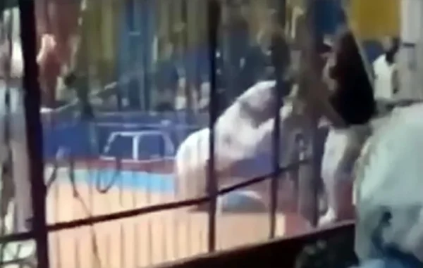 Τρομακτικό βίντεο: Τίγρης επιτέθηκε σε άνδρα κατά τη διάρκεια παράστασης – Του ακρωτηρίασαν το χέρι