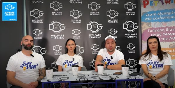 STRAY 2 STAY - Μια δυνατή εθελοντική ομάδα εκπαιδευτών σκύλων που ήρθε για να αλλάξει τα δεδομένα.