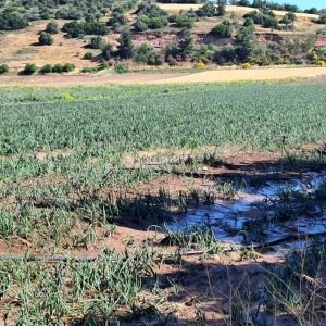 Δήμος Δομοκού: Υποβολή αιτήσεων για τις καταστροφές της 24ης Ιουλίου 2026