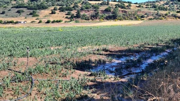 Δήμος Δομοκού: Υποβολή αιτήσεων για τις καταστροφές της 24ης Ιουλίου 2026