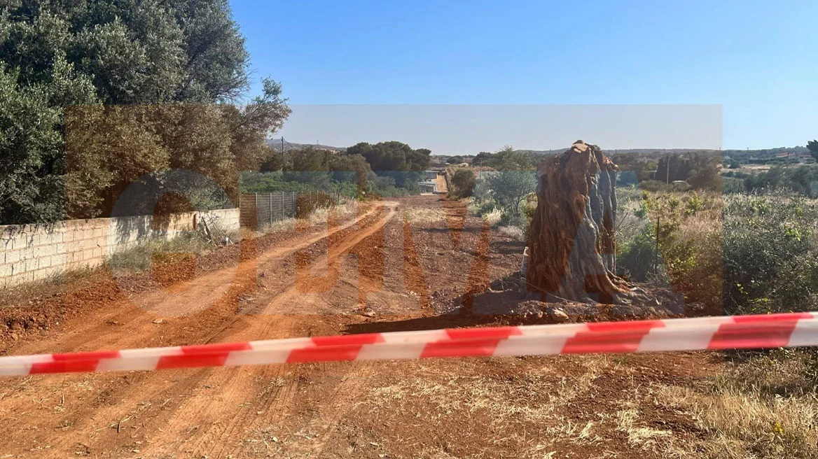 Συνελήφθη ο δράστης της δολοφονίας του 41χρονου Αλβανού στη Ραφήνα