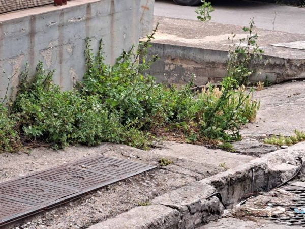 Δύο στενά της πόλης που χρειάζονται καθαρισμό και απολύμανση