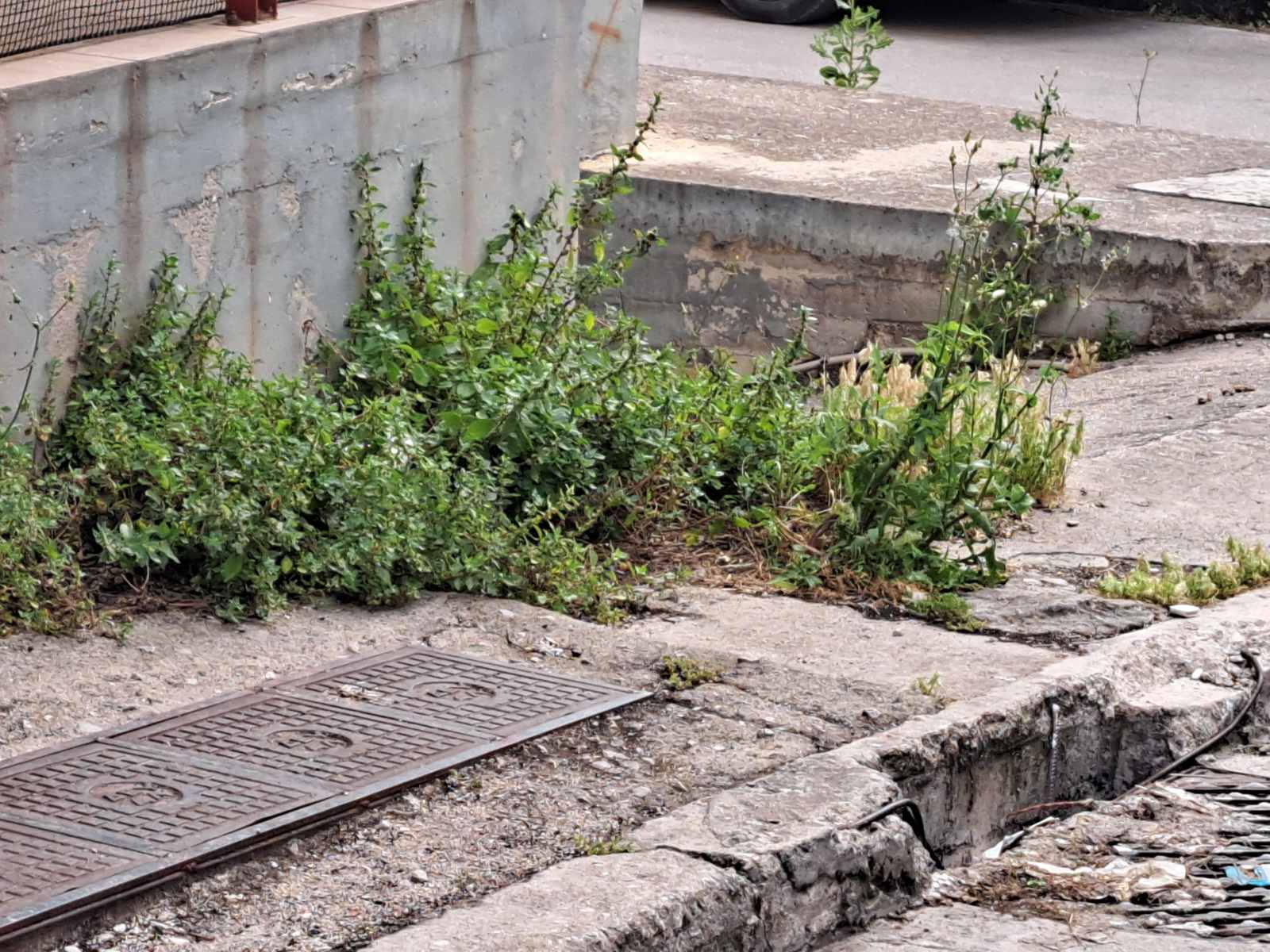 Δύο στενά της πόλης που χρειάζονται καθαρισμό και απολύμανση