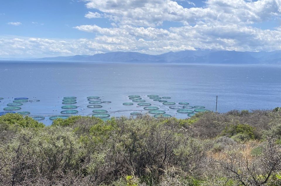 Μηδενική ανοχή του Νόμου για ιχθυοκλοπές