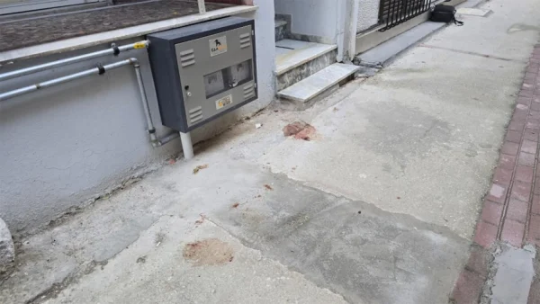 Έγκλημα στη Λάρισα: Με τρεις μαχαιριές δολοφόνησε τη μητέρα του ο 21χρονος - «Με μισούσε, γι' αυτό τη σκότωσα» είπε