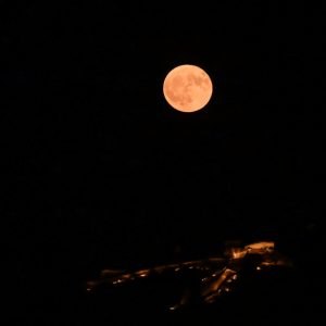 Ήρθε η ώρα για το «φεγγάρι του καλαμποκιού» - Πότε θα δούμε την πανσέληνο Σεπτεμβρίου