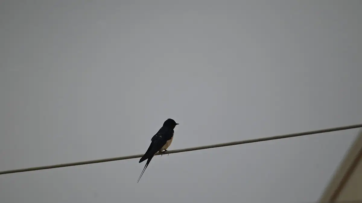 Καιρός: Ο κρύος Απρίλιος του 2025 – Στα νησιά του Αιγαίου και στην Κρήτη ο 3ος ψυχρότερος από το 2010