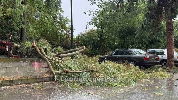 Λαμία: Μπουρίνι έριξε δέντρα, πλημμύρισε σπίτια και άφησε χωρίς ρεύμα τη νότια πλευρά της πόλης (ΦΩΤΟ)