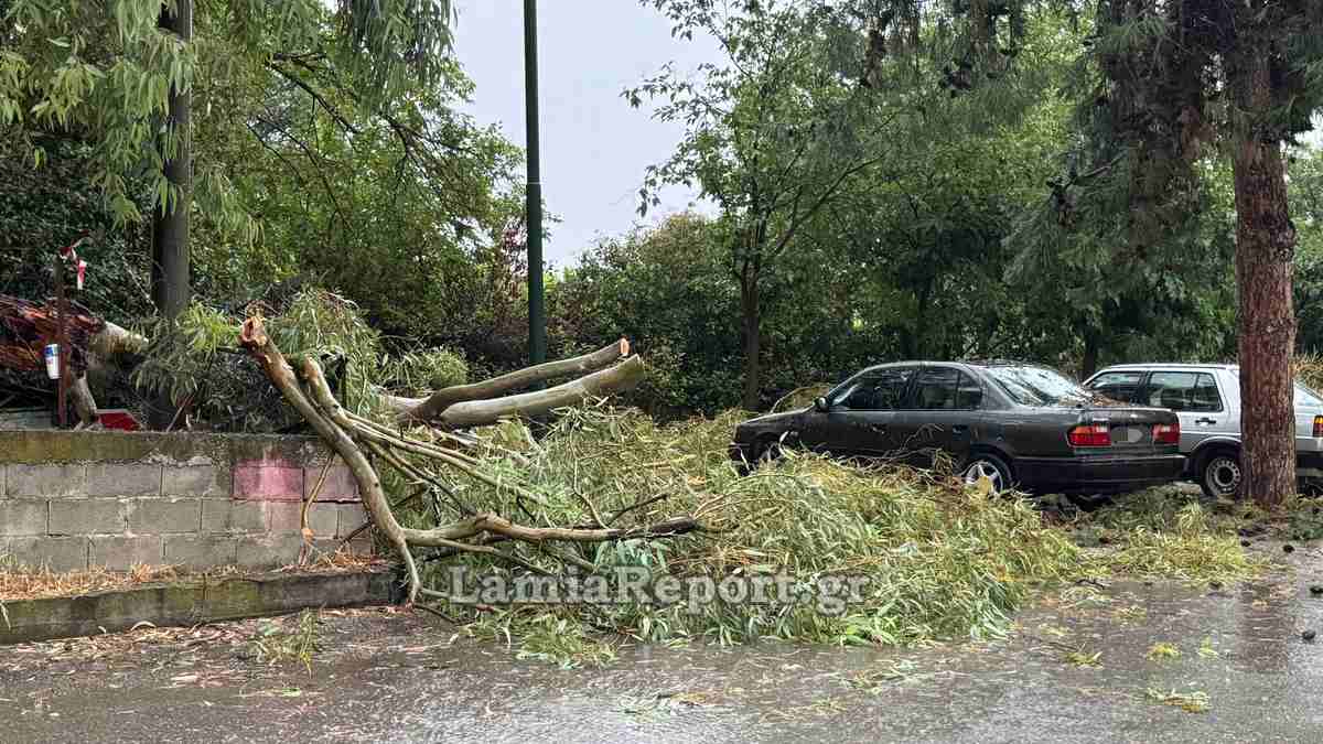 Λαμία: Μπουρίνι έριξε δέντρα, πλημμύρισε σπίτια και άφησε χωρίς ρεύμα τη νότια πλευρά της πόλης (ΦΩΤΟ)
