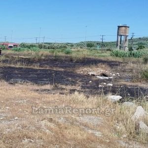 Πυρκαγιά σε χωράφι στην Ηράκλεια Λαμίας