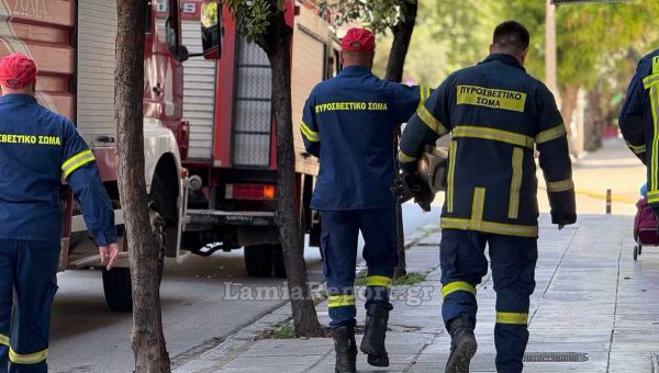 Σε δημόσια διαβούλευση το νομοσχέδιο για την πολιτική προστασία και το Πυροσβεστικό Σώμα