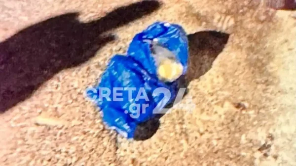 Ηράκλειο: Σε ψυχιατρική κλινική η 33χρονη που πέταξε το νεογέννητό της στα σκουπίδια – Παραμένει στο ΠΑΓΝΗ το βρέφος