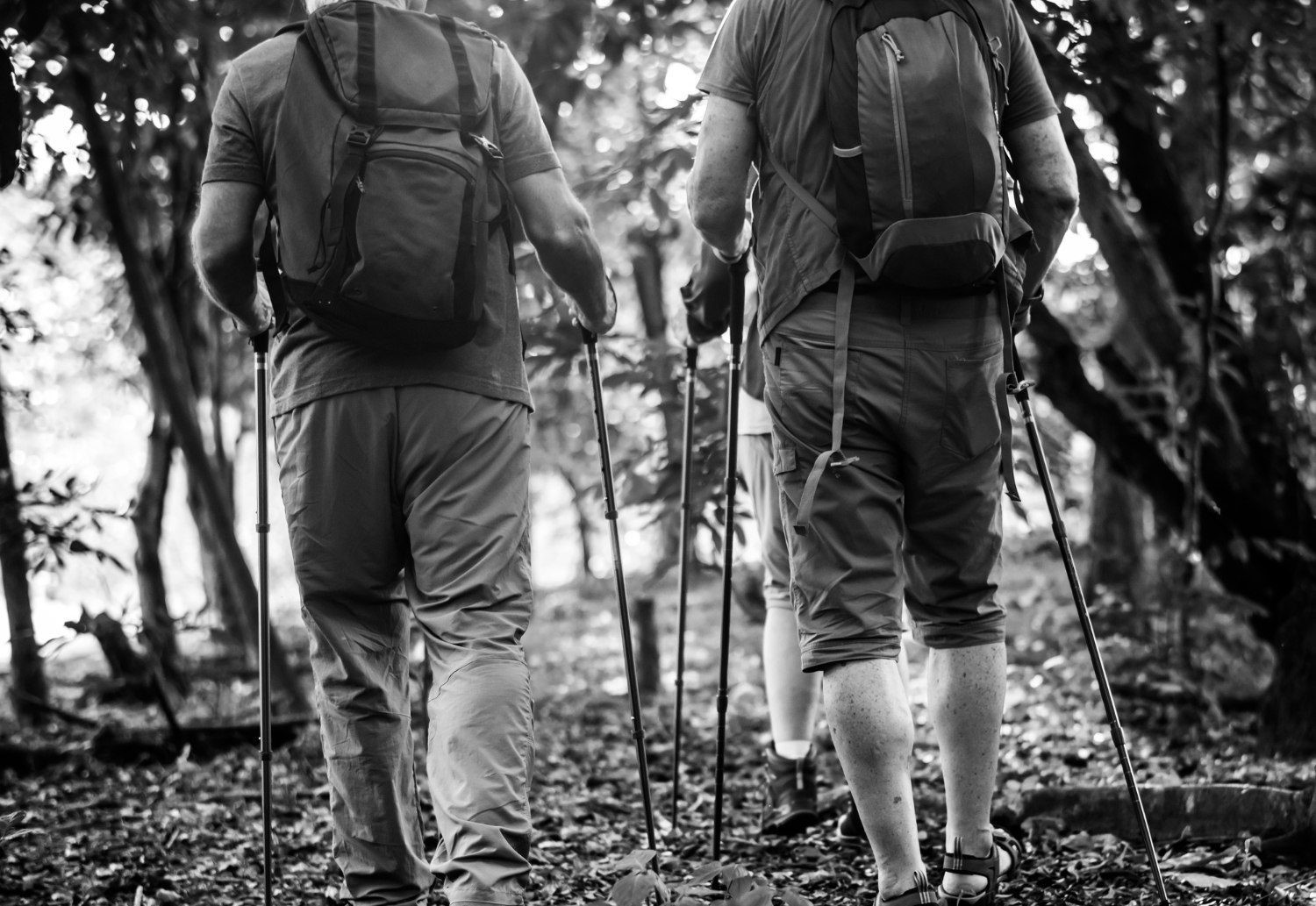 Πηγές της ΕΛ.ΑΣ. βάζουν τέλος στις θεωρίες συνωμοσίας για τον θάνατο του ορειβάτη: Πέθανε λόγω της αρκούδας