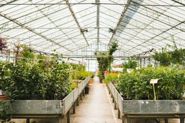 Το Επιμελητήριο Φθιώτιδας διοργανώνει στην Αταλάντη ημερίδα: «Επένδυσε στη Μεταποίηση/εμπορία και ανάπτυξη γεωργικών προϊόντων»