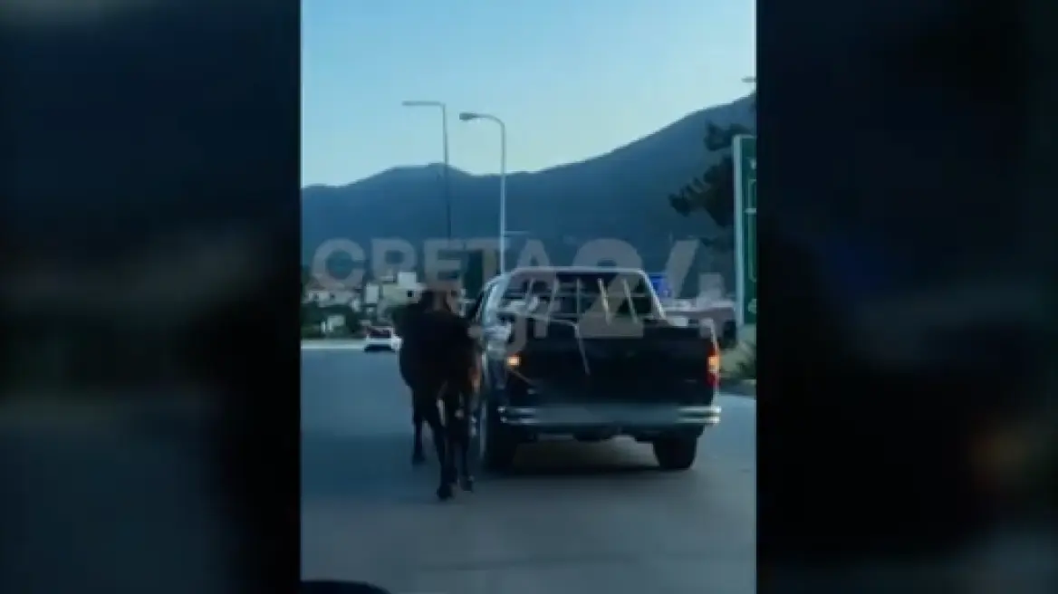 Hράκλειο: Οδηγός έδεσε άλογο με σχοινί και το έσερνε με αγροτικό