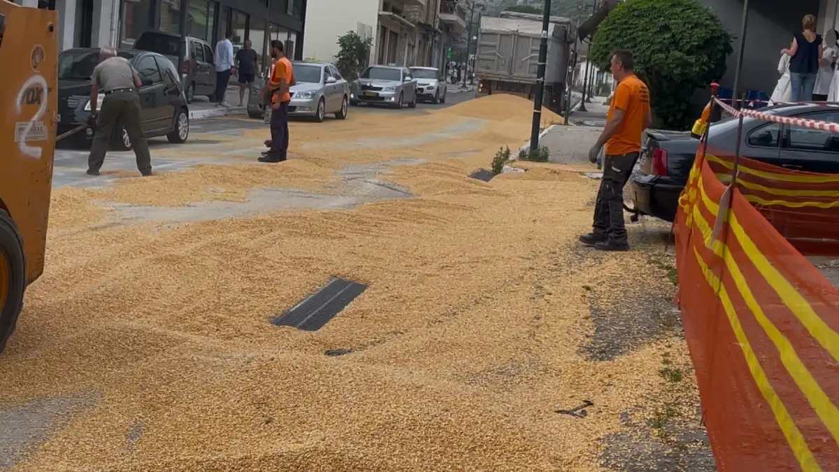 «Κιτρίνισαν» οι δρόμοι στην Αμφιλοχία: Καλαμπόκια χύθηκαν στην άσφαλτο, δείτε βίντεο